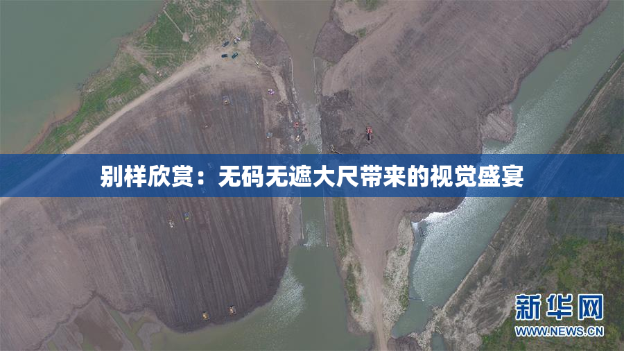别样欣赏：无码无遮大尺带来的视觉盛宴