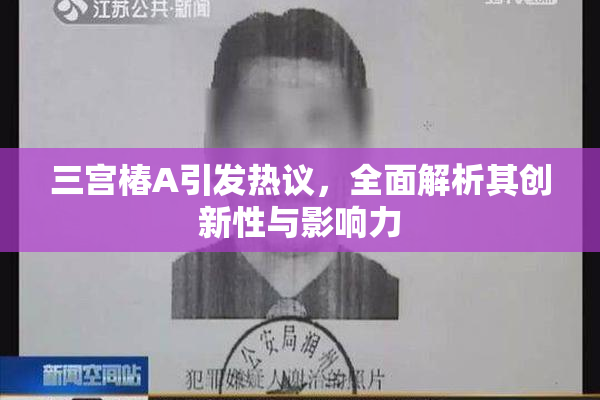 三宫椿A引发热议，全面解析其创新性与影响力