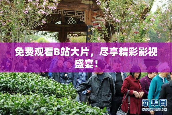 免费观看B站大片，尽享精彩影视盛宴！