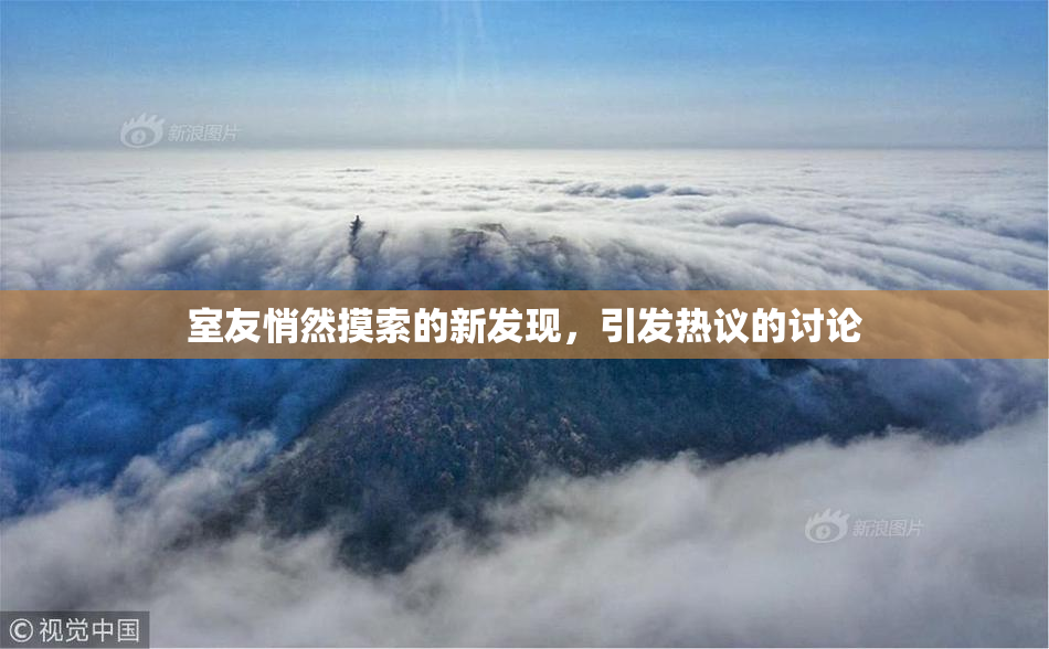 室友悄然摸索的新发现，引发热议的讨论