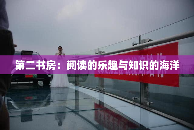 第二书房：阅读的乐趣与知识的海洋