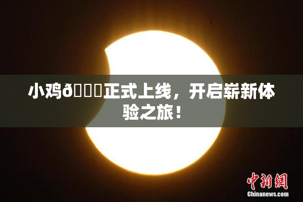 小鸡🐔正式上线，开启崭新体验之旅！