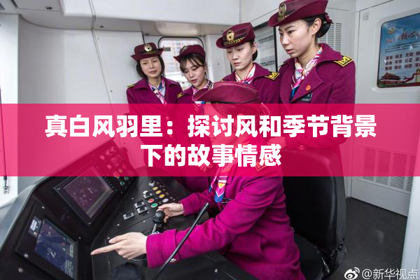 真白风羽里：探讨风和季节背景下的故事情感