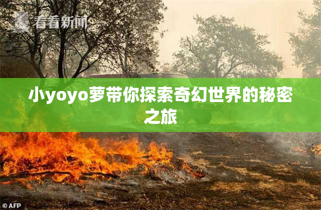 小yoyo萝带你探索奇幻世界的秘密之旅