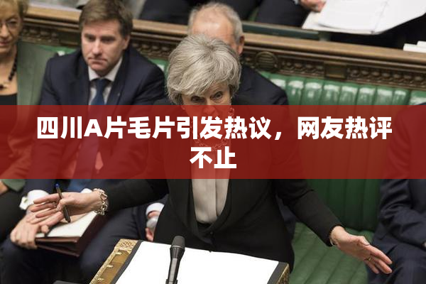 四川A片毛片引发热议，网友热评不止