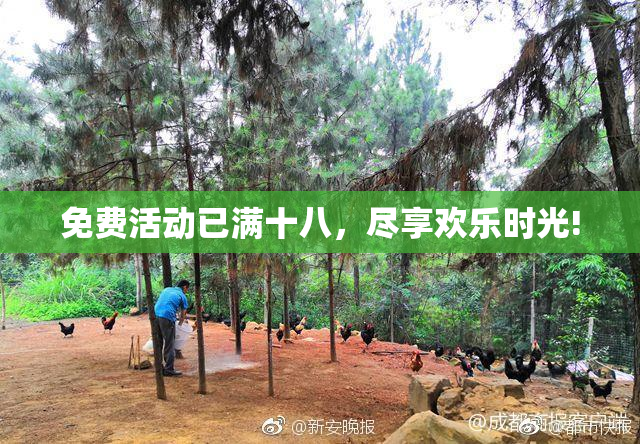 免费活动已满十八，尽享欢乐时光!
