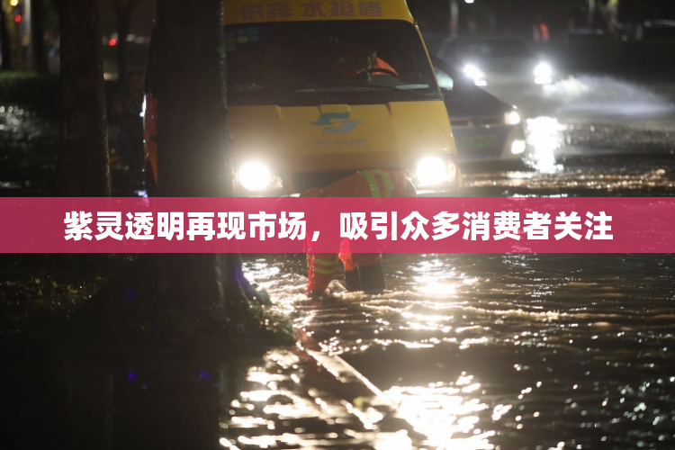 紫灵透明再现市场，吸引众多消费者关注