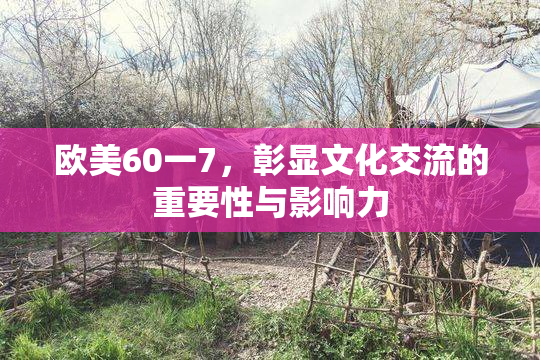 欧美60一7，彰显文化交流的重要性与影响力