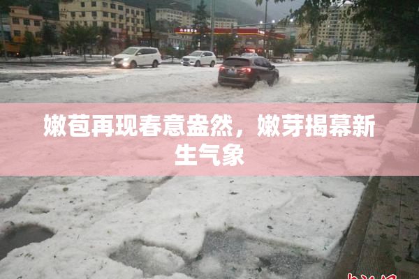 嫩苞再现春意盎然，嫩芽揭幕新生气象