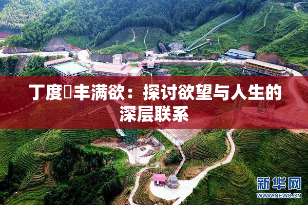 丁度巜丰满欲：探讨欲望与人生的深层联系