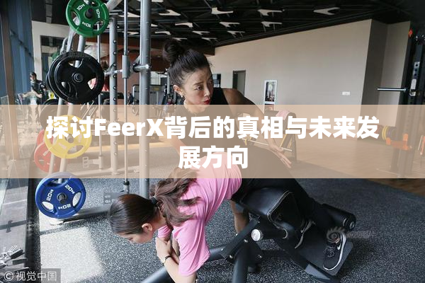 探讨FeerX背后的真相与未来发展方向