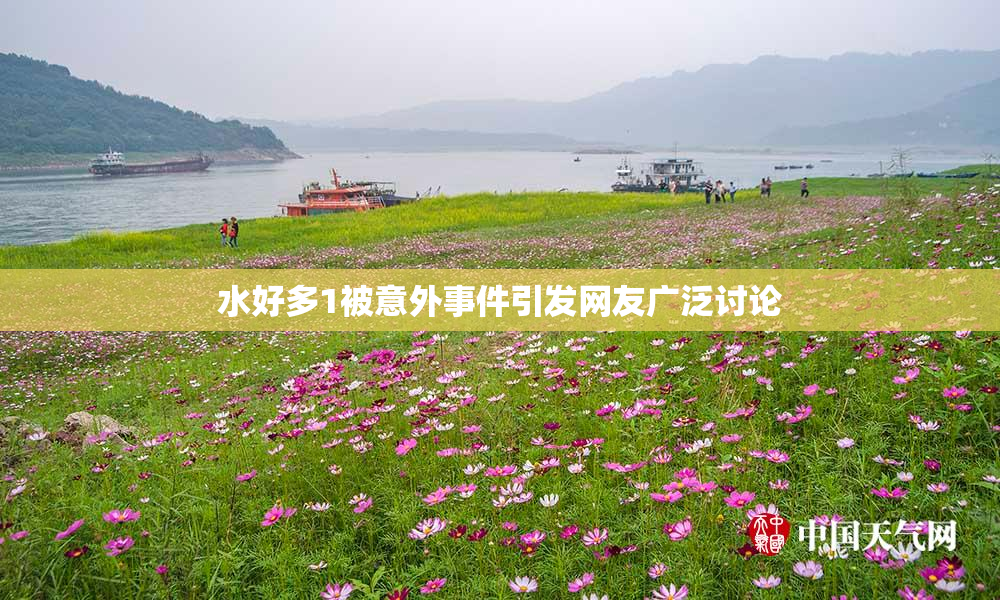 水好多1被意外事件引发网友广泛讨论