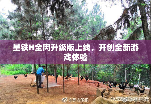 星铁H全肉升级版上线，开创全新游戏体验