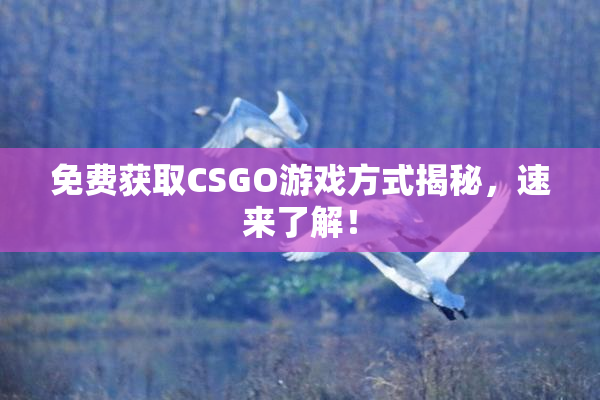 免费获取CSGO游戏方式揭秘，速来了解！