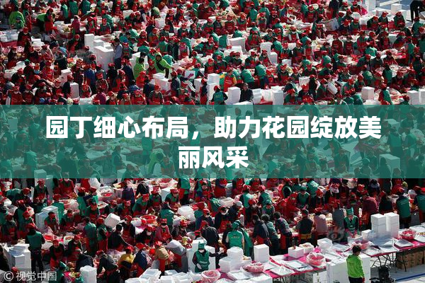 园丁细心布局，助力花园绽放美丽风采