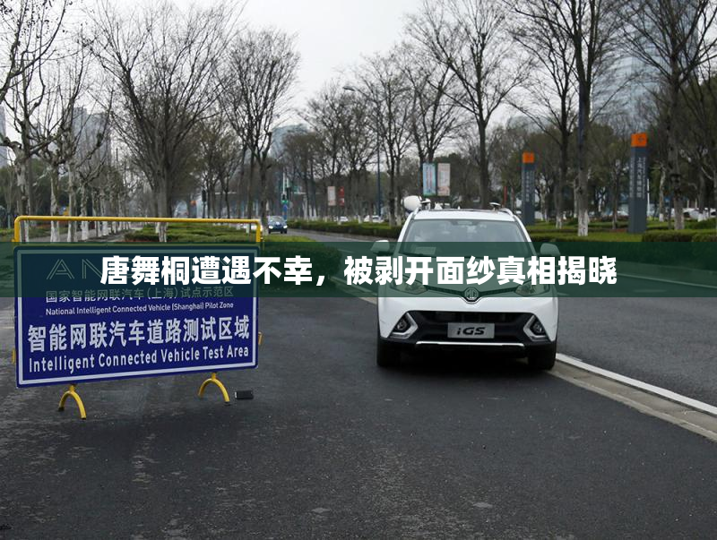 唐舞桐遭遇不幸，被剥开面纱真相揭晓