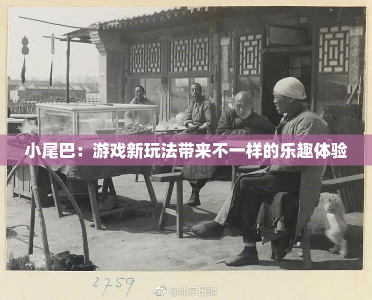 小尾巴：游戏新玩法带来不一样的乐趣体验