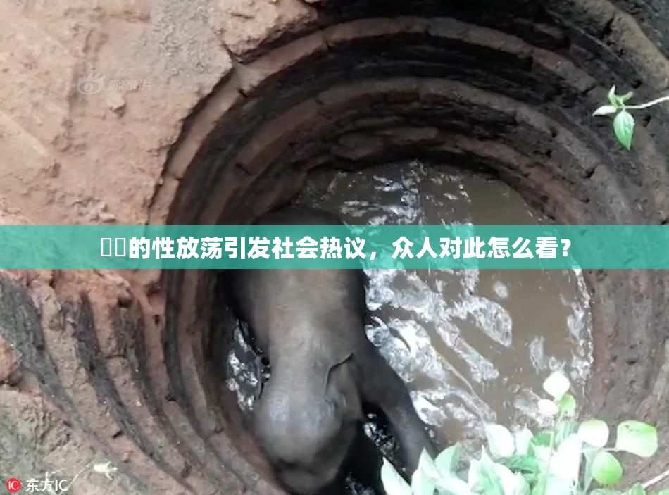 妺妺的性放荡引发社会热议，众人对此怎么看？