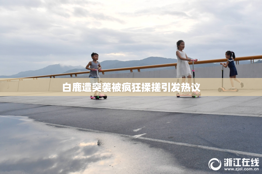 白鹿遭突袭被疯狂揉搓引发热议