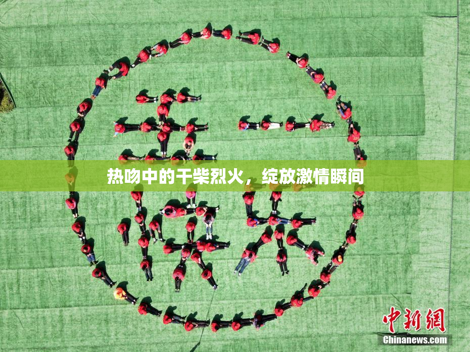 热吻中的干柴烈火，绽放激情瞬间