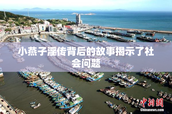 小燕子淫传背后的故事揭示了社会问题