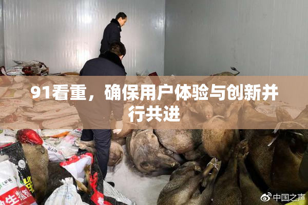 91看重，确保用户体验与创新并行共进