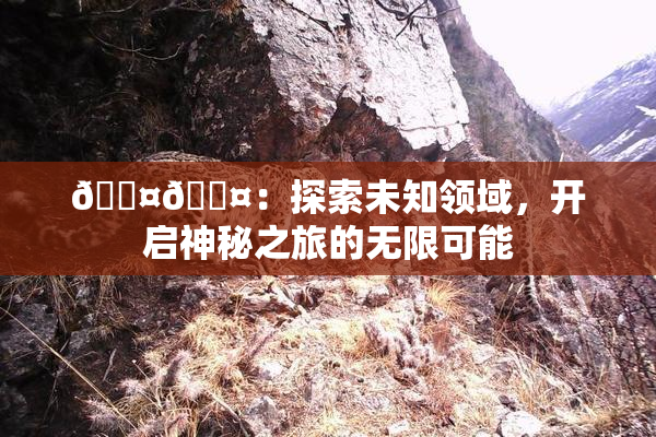 🐤🐤：探索未知领域，开启神秘之旅的无限可能