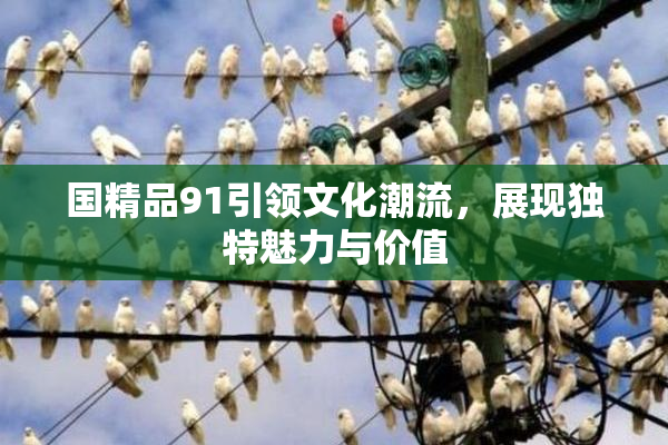 国精品91引领文化潮流，展现独特魅力与价值