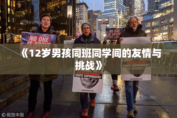 《12岁男孩同班同学间的友情与挑战》