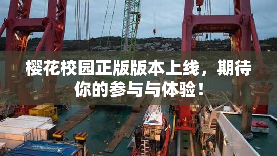 樱花校园正版版本上线，期待你的参与与体验！