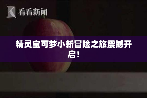 精灵宝可梦小新冒险之旅震撼开启！