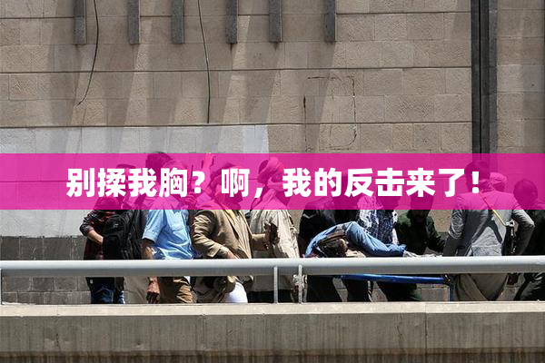 别揉我胸？啊，我的反击来了！