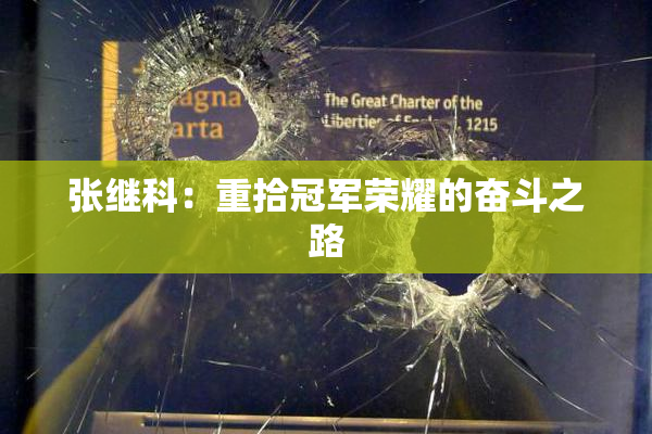 张继科：重拾冠军荣耀的奋斗之路