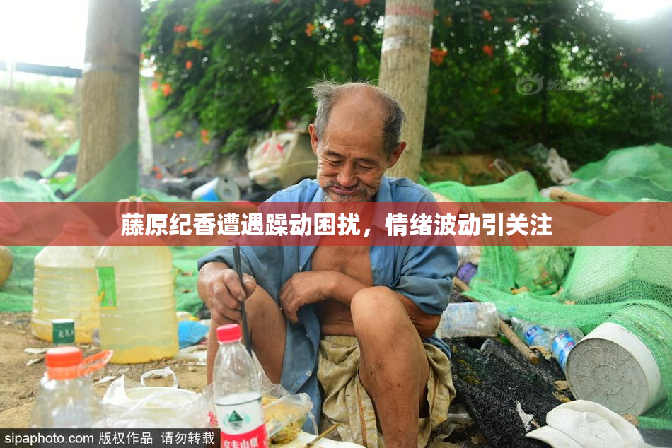 藤原纪香遭遇躁动困扰，情绪波动引关注