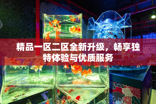 精品一区二区全新升级，畅享独特体验与优质服务