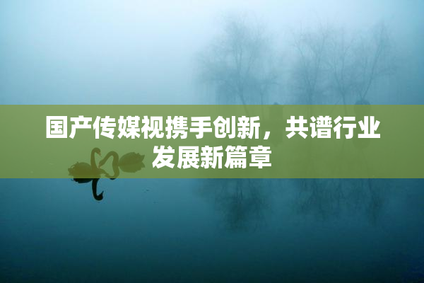 国产传媒视携手创新，共谱行业发展新篇章