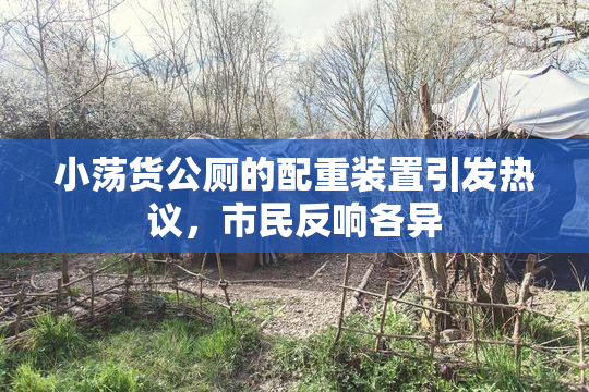 小荡货公厕的配重装置引发热议，市民反响各异