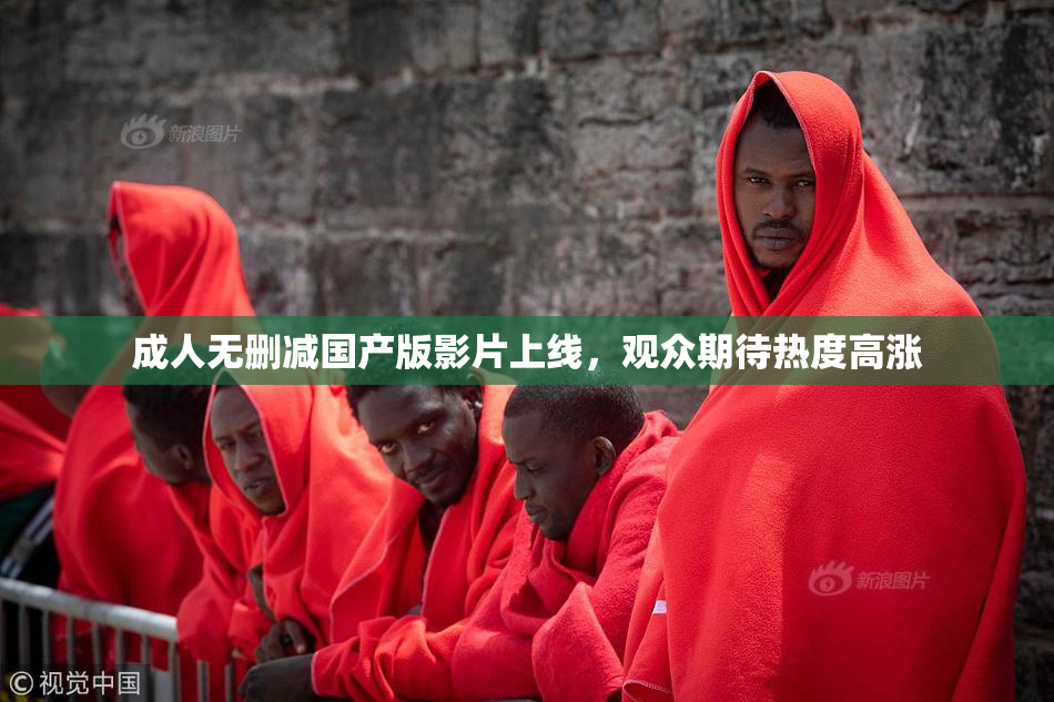 成人无删减国产版影片上线，观众期待热度高涨