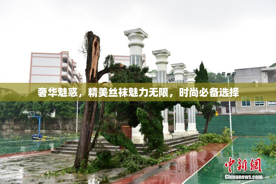 奢华魅惑，精美丝袜魅力无限，时尚必备选择