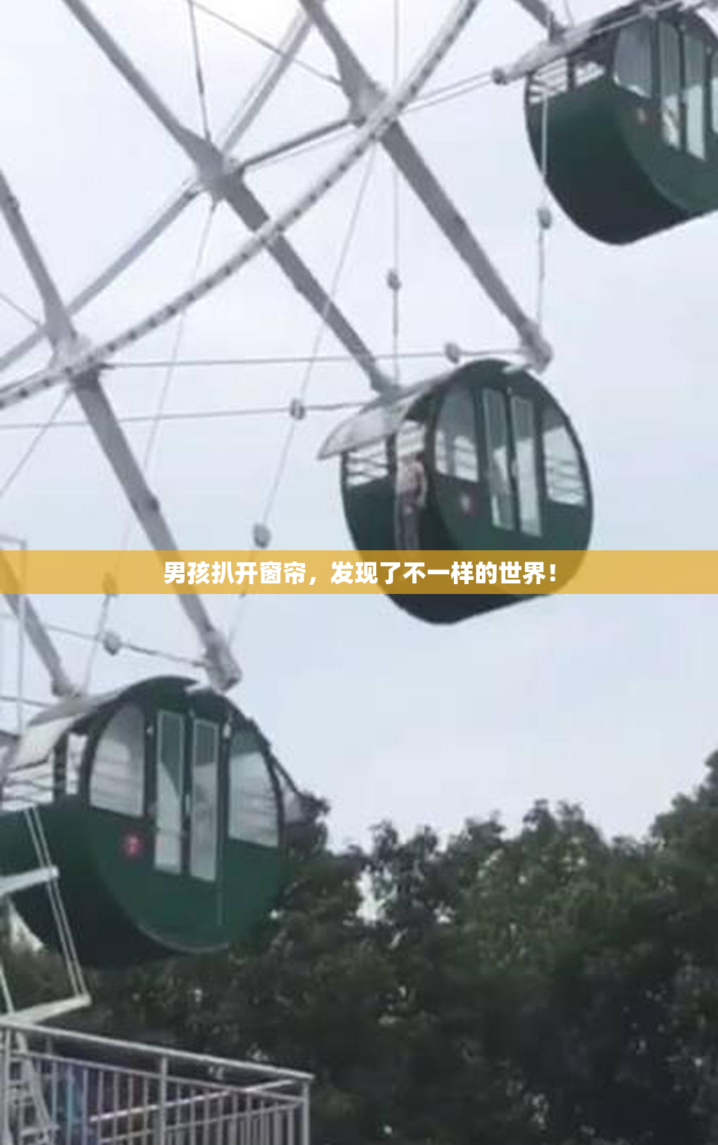 男孩扒开窗帘，发现了不一样的世界！
