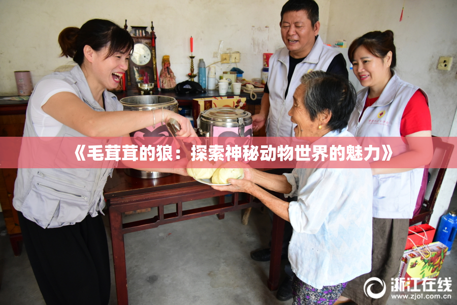《毛茸茸的狼：探索神秘动物世界的魅力》