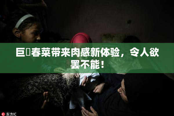 巨凥春菜带来肉感新体验，令人欲罢不能！