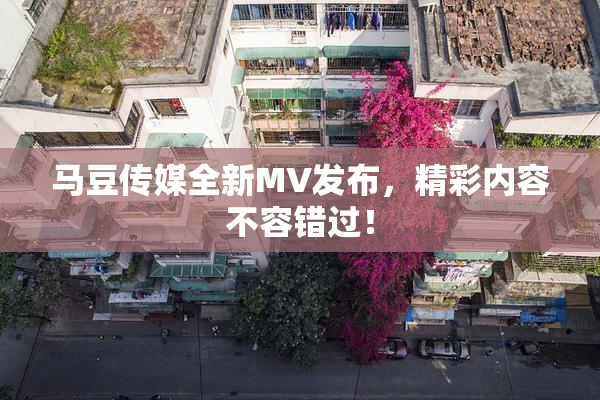 马豆传媒全新MV发布，精彩内容不容错过！