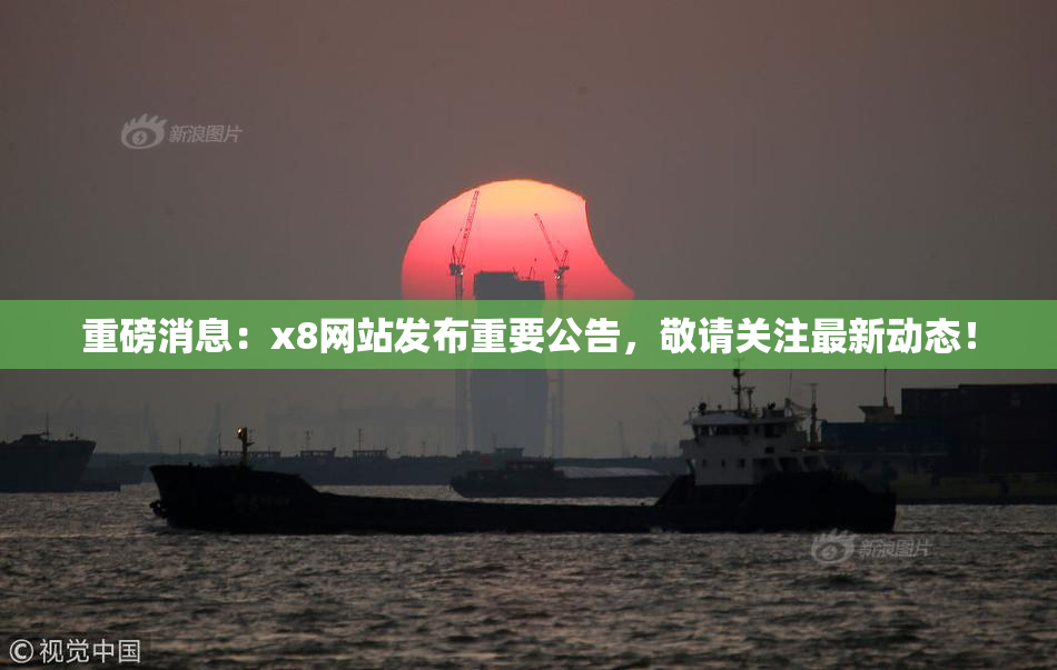 重磅消息：x8网站发布重要公告，敬请关注最新动态！