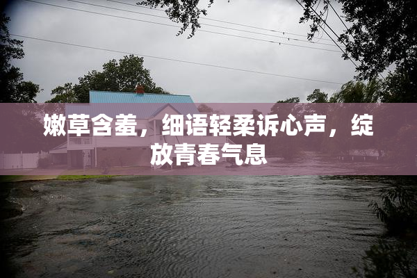 嫩草含羞，细语轻柔诉心声，绽放青春气息