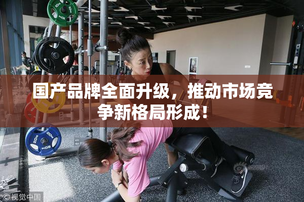 国产品牌全面升级，推动市场竞争新格局形成！