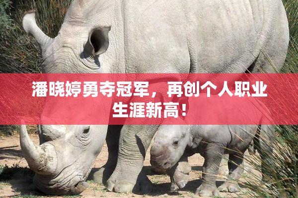 潘晓婷勇夺冠军，再创个人职业生涯新高！