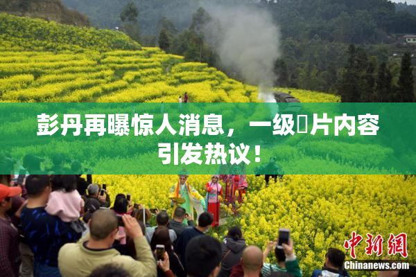 彭丹再曝惊人消息，一级婬片内容引发热议！