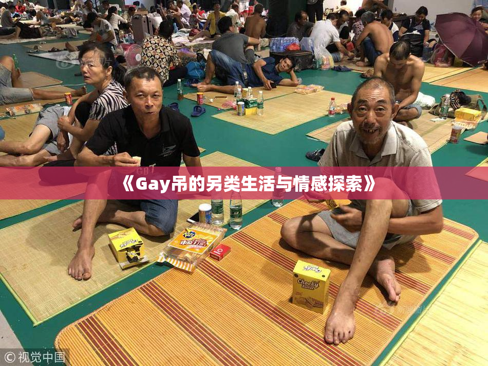 《Gay吊的另类生活与情感探索》