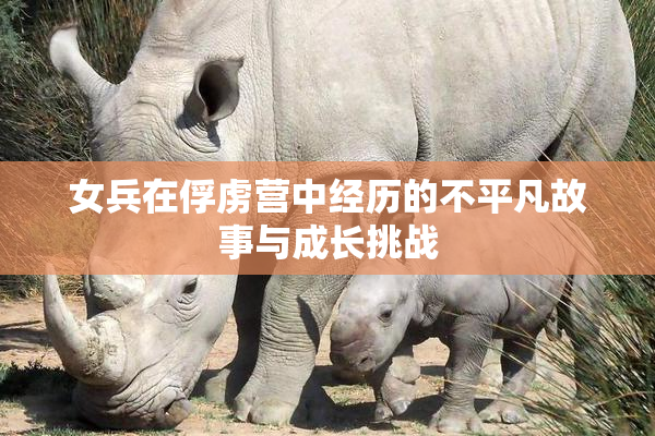 女兵在俘虏营中经历的不平凡故事与成长挑战